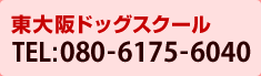 東大阪ドッグスクール　電話番号080-6175-6040